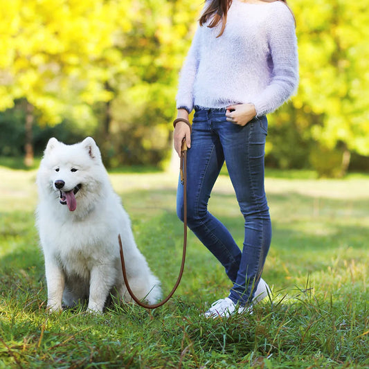 Laisse Mains Libres 1,8m Pawpal store