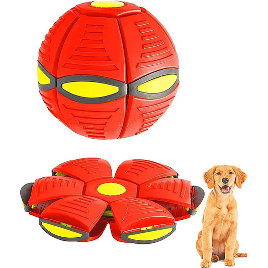Jouet Indestructible Soucoupe Volante pour Chien Pawpal store