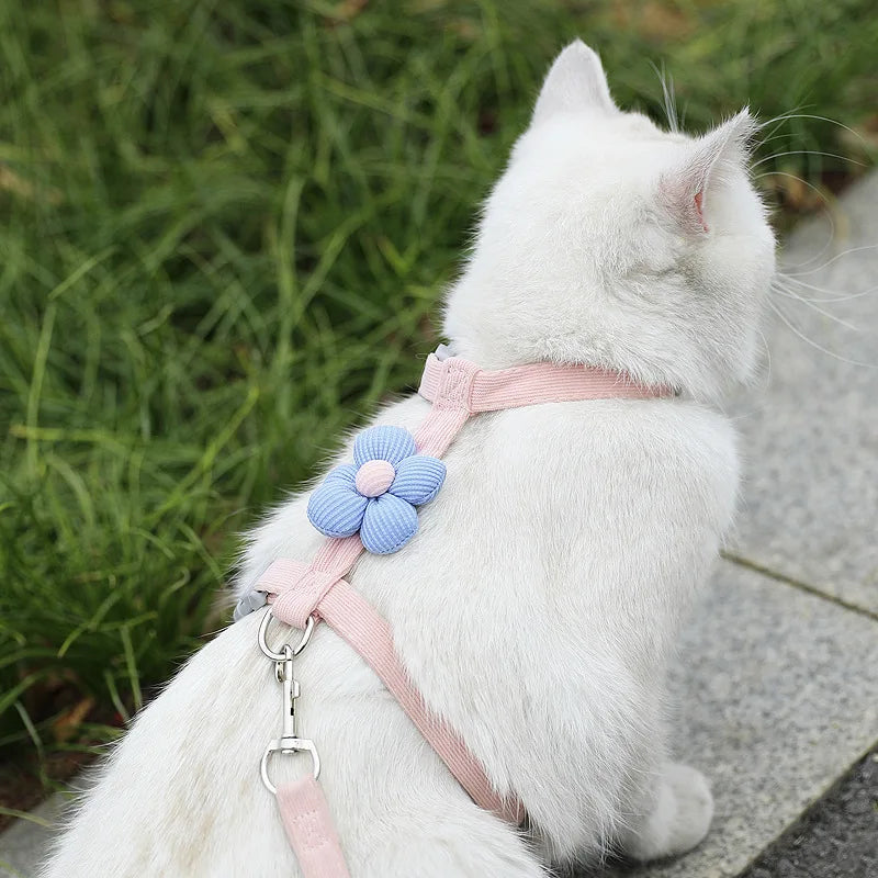 Harnais réglable respirant pour chat ou petit chien avec laisse – design fleur mignon, anti-étranglement – taille S ou M en rose