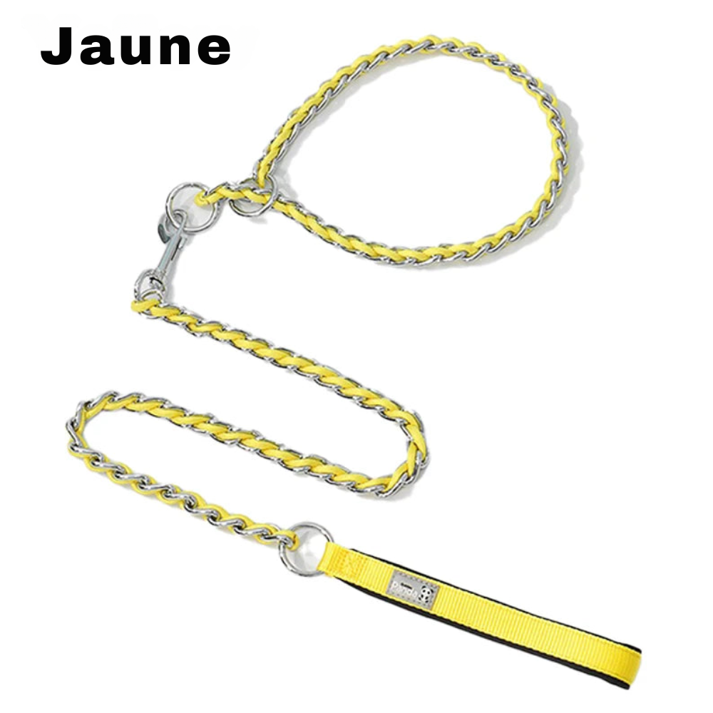 Laisse chaîne anti morsure Pawpal store