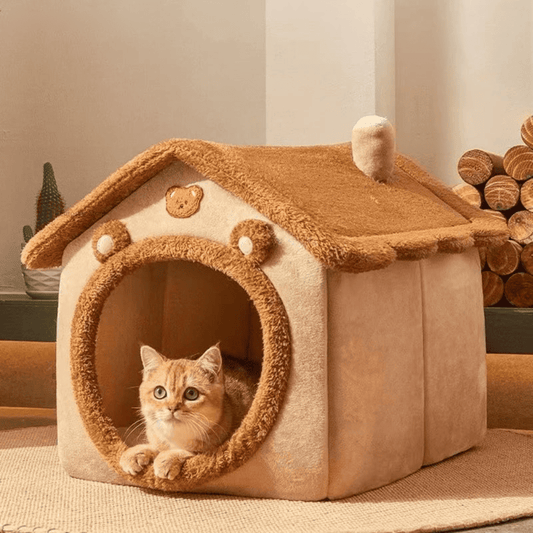 Tente Velours pour Chat Pawpal store