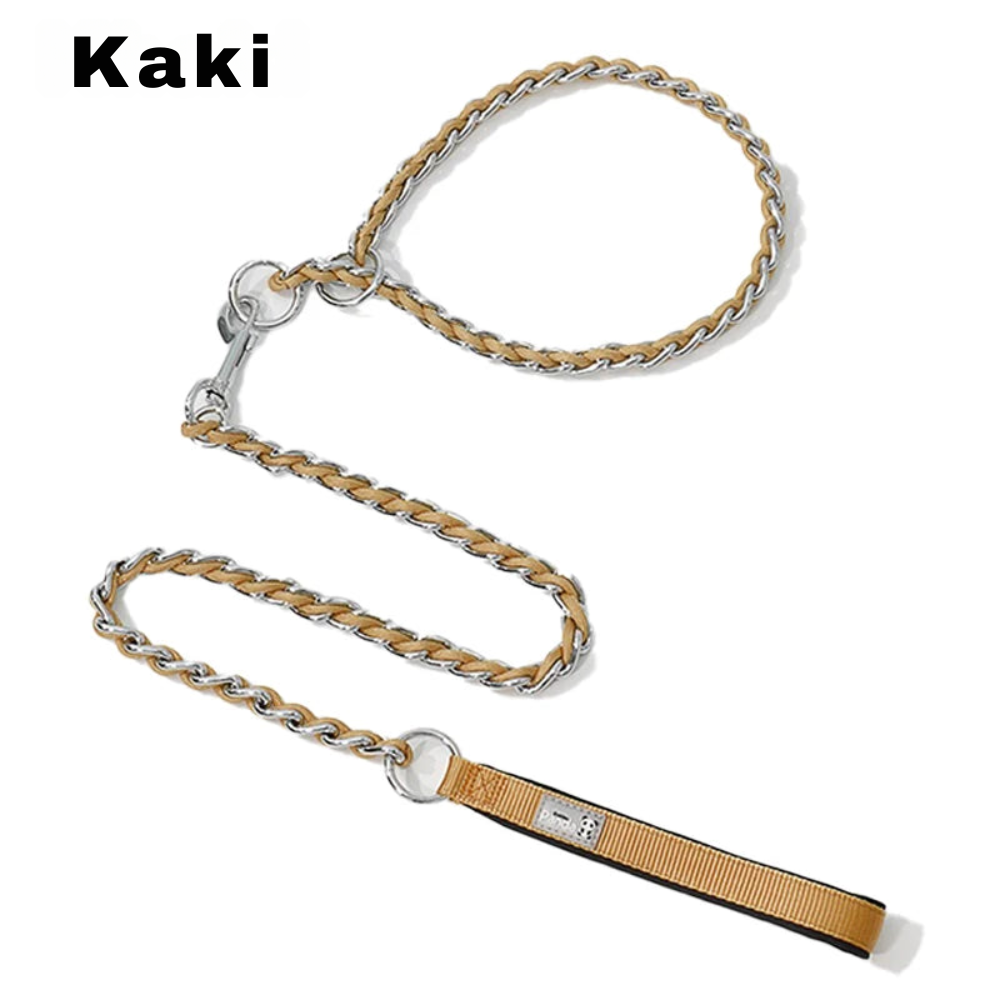 Laisse chaîne anti morsure Pawpal store