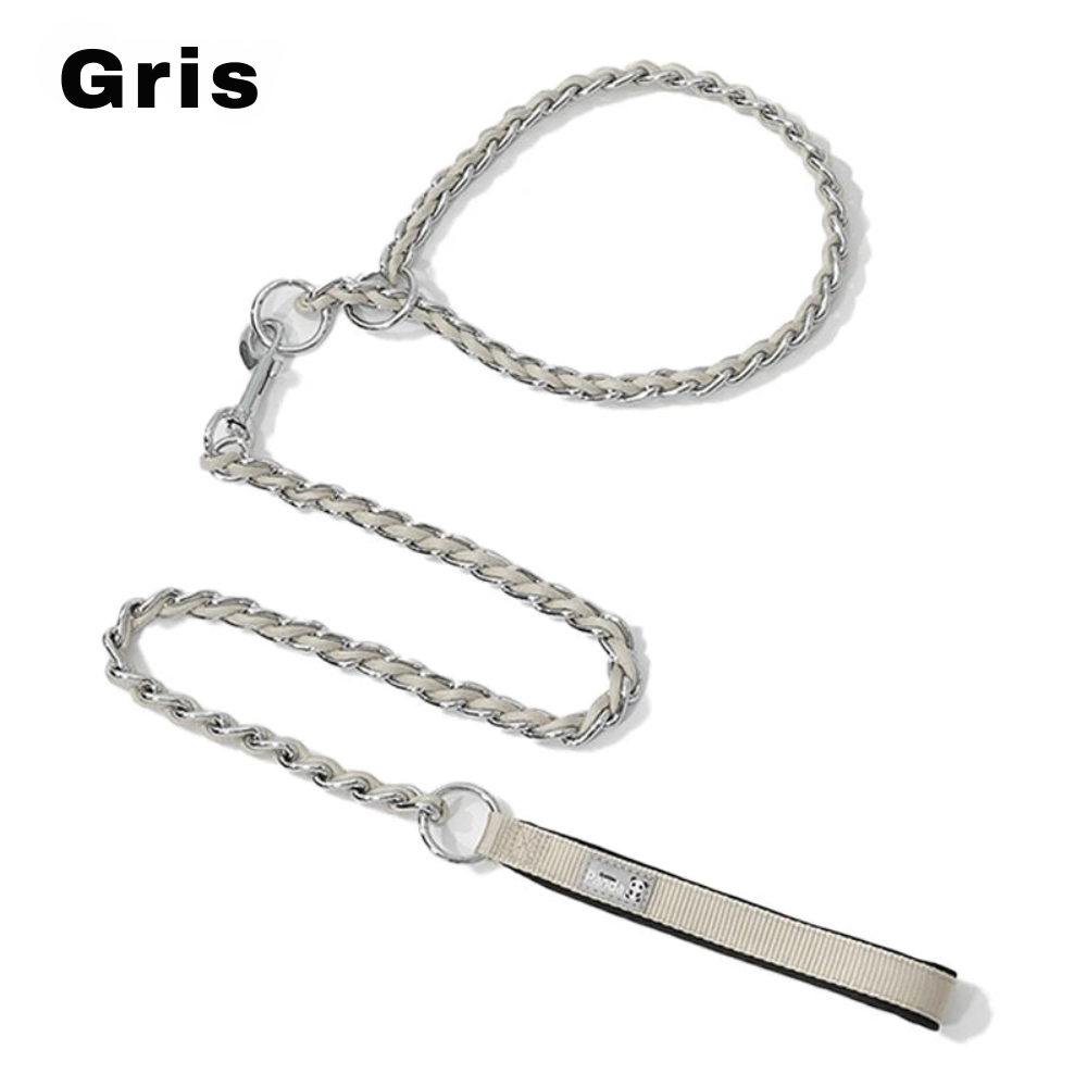 Laisse chaîne anti morsure Pawpal store