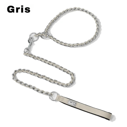 Laisse chaîne anti morsure Pawpal store