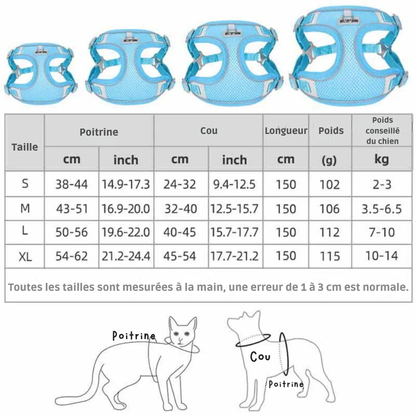 Harnais gilet avec laisse Pawpal store