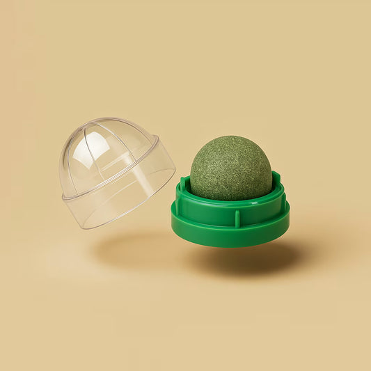 Jouet Mural à Herbe pour chat Pawpal store