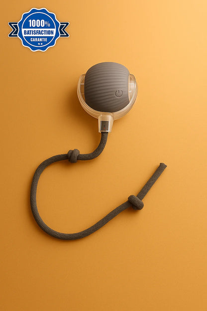 Balle Interactive Intelligente pour Chat et Chien