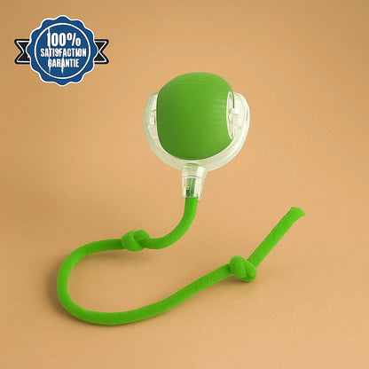 Balle Interactive Intelligente pour Chat et Chien