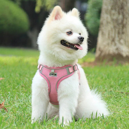 Harnais gilet avec laisse Pawpal store