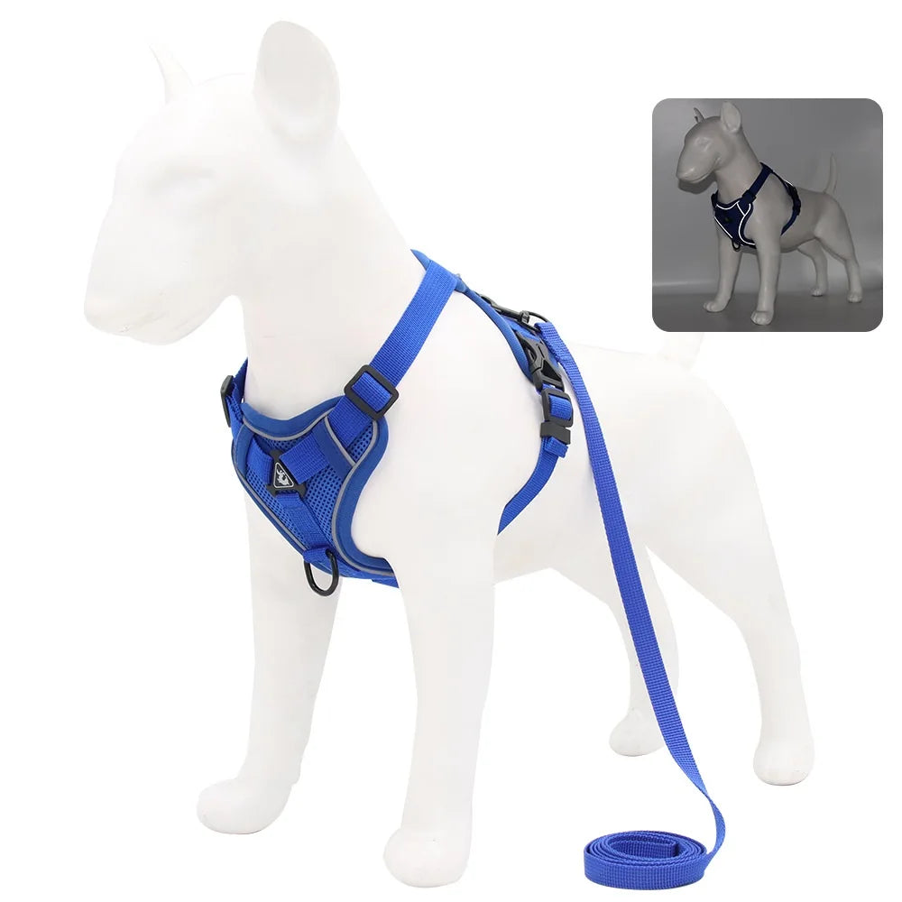 Set Harnais Pectoral et Laisse Pawpal store