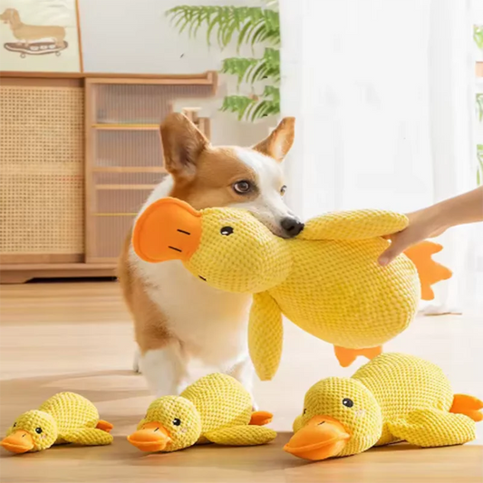 Dog sleeping with a dog hug duck toys to relieve boredom of little yellow duck pet interactive plush doll pet supplies Pawpal store