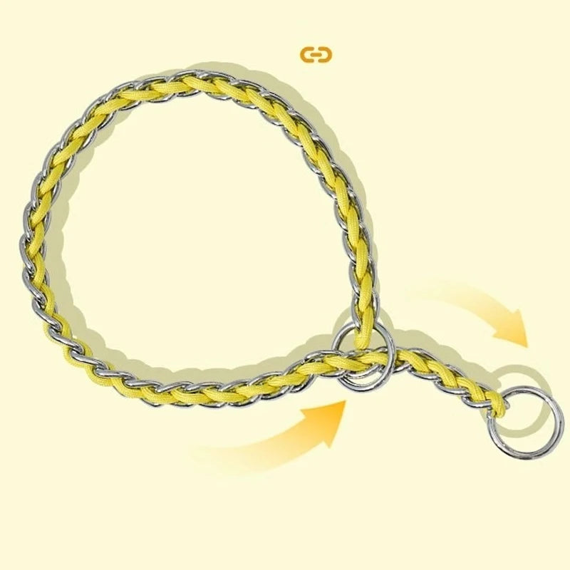 Laisse chaîne anti morsure Pawpal store