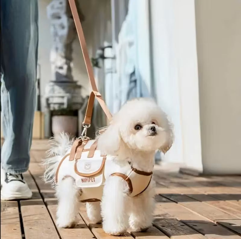 Sac porte-chien avec double laisse et fermeture boucle sécurisée