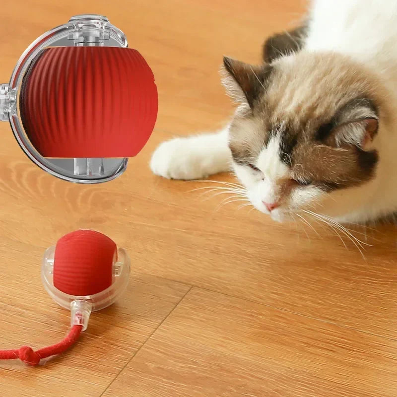 Balle Interactive Intelligente pour Chat et Chien