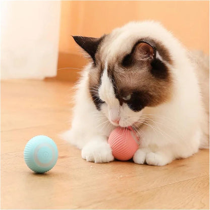 Smart Dog Toy Ball Electronic Interactive Pet Toy Moving Ball USB Automatic Moving Bouncing for Puppy Birthday Gift Cat Products Pawpal store