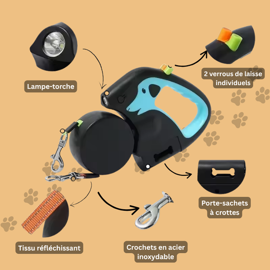 Laisse Double Rétractable