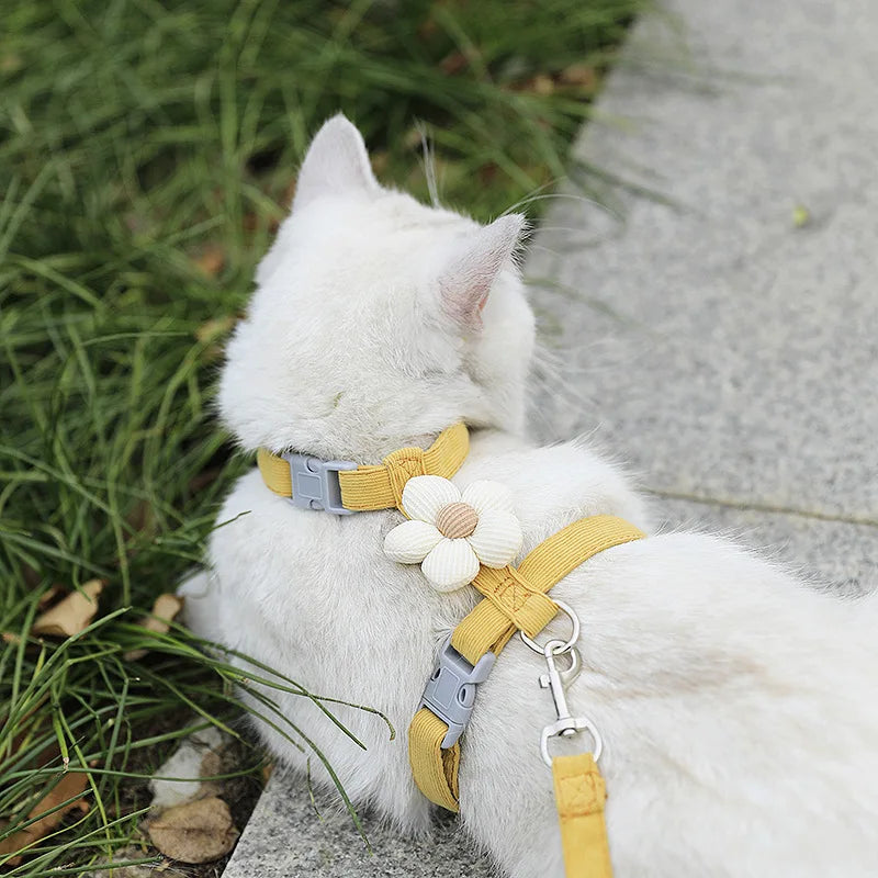 Harnais réglable respirant pour chat ou petit chien avec laisse – design fleur mignon, anti-étranglement – taille S ou M en jaune
