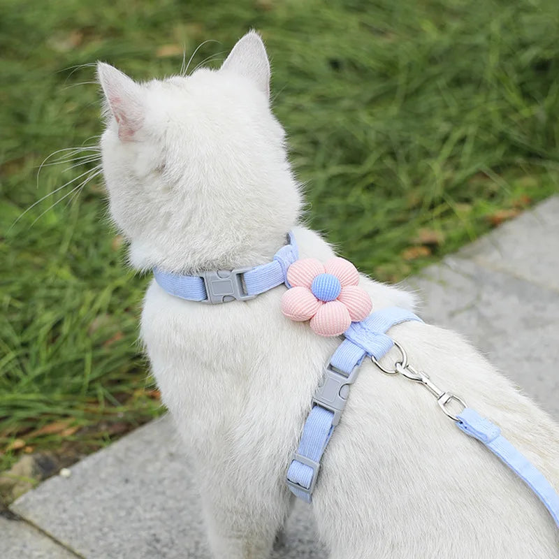 Harnais réglable respirant pour chat ou petit chien avec laisse – design fleur mignon, anti-étranglement – taille S ou M