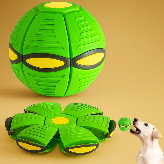 Jouet Indestructible Soucoupe Volante pour Chien