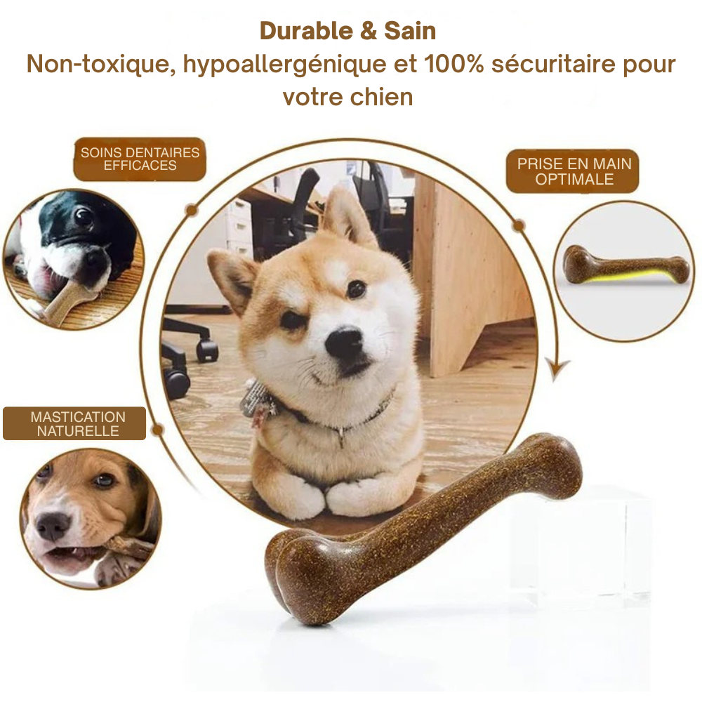 Os à Mâcher Quasi-Indestructible