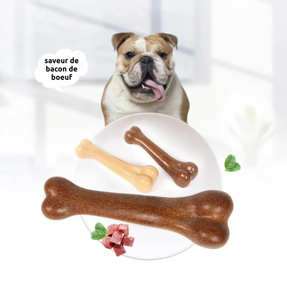 Os à Mâcher Quasi-Indestructible