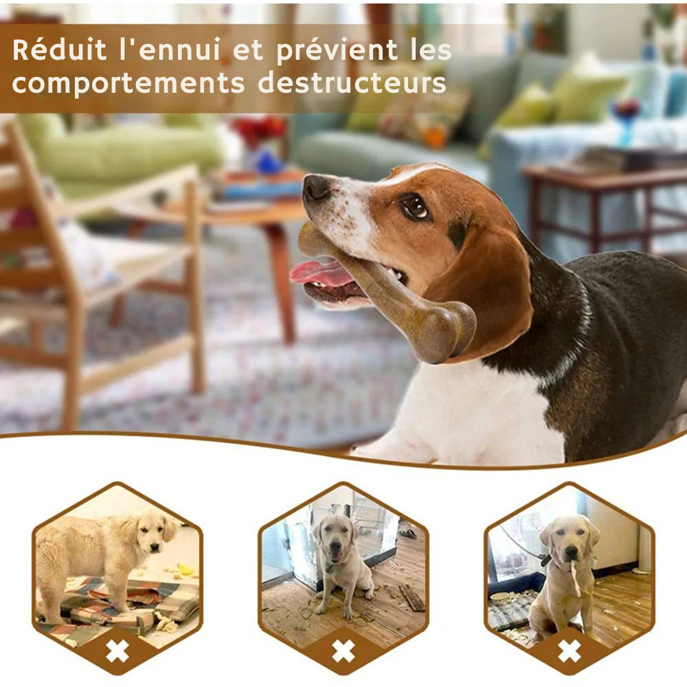 Os à Mâcher Quasi-Indestructible