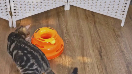 Jouet tour à 3 Niveaux avec Balles