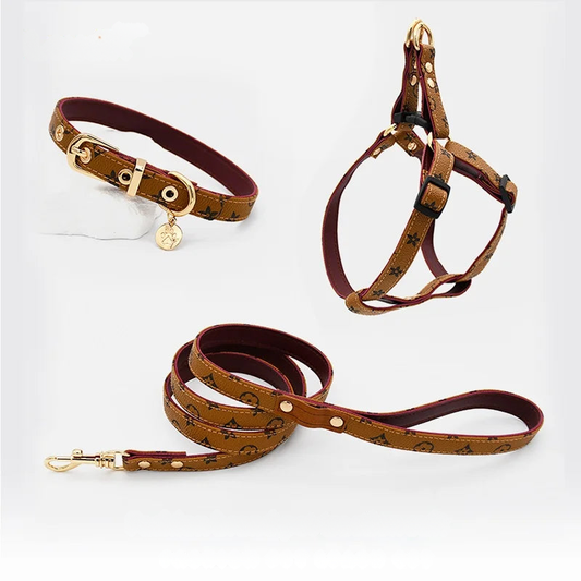Set Harnais + Laisse + Collier en cuir Pawpal store
